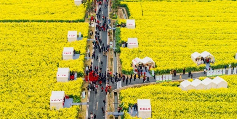 图解：若维持当前金年会- 金年会体育 注册即送88元- 金年会官方网站涨势 黄金有望在2028年触及10000美元大关！